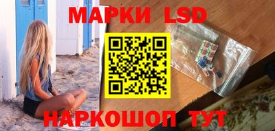 a pvp Брянск
