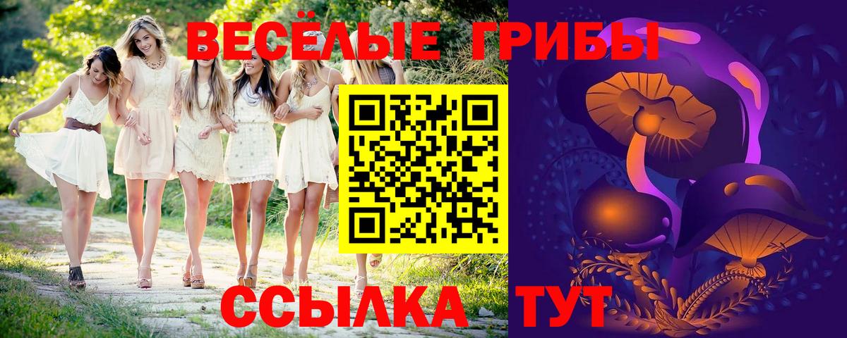 Галлюциногенные грибы GOLDEN TEACHER Батайск